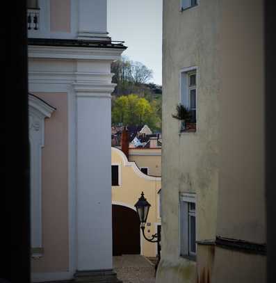 Einzigartige, charmante 96qm Wohnung in Passaus historischer Altstadt