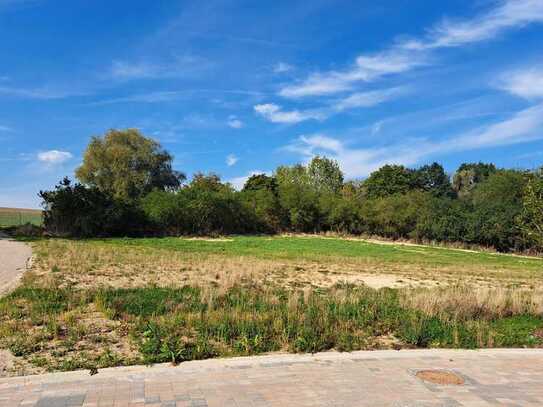 Ostsee-Idylle: Entdecken Sie unser exklusives Ferienhausgebiet in Wohlenberg!