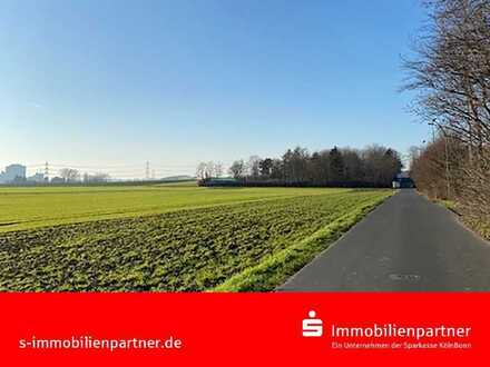 Hier BAUEN Sie!