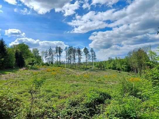 Waldflächen in Nümbrecht