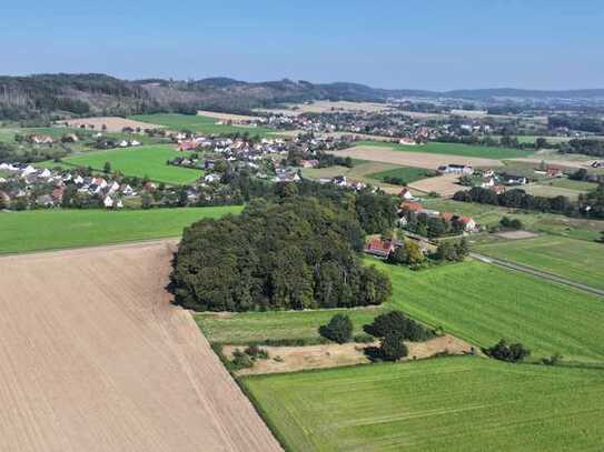 Ihr eigener Wald! 21.150 m² Mischwald als inflationsgeschützte Kapitalanlage...