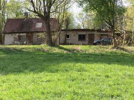 GRUNDSTÜCK MIT ALTBESTAND AM STADTRAND VON MÜNCHEN