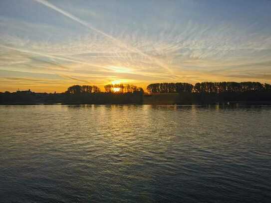 luxuriöse Studiowohnung in Rheinlage zwischen Köln und Bonn mit schöner geräumiger Dachterrasse