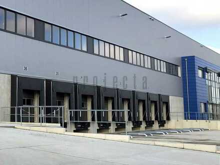 Lager-/ Logistikflächen ab 5.000 m² am EUROGATE Container Terminal - 0151-510-16-422