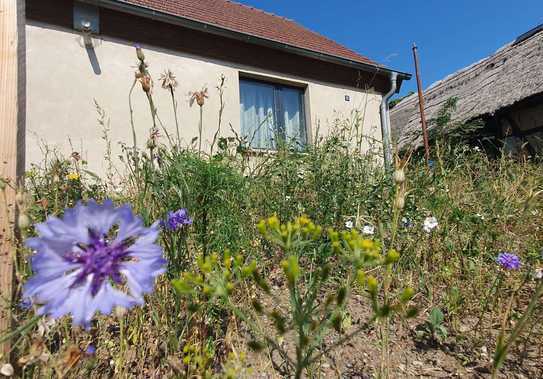 Wohnhaus mit Garten, Insel Usedom