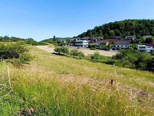 **Ländliches Bauen in Steffenberg**