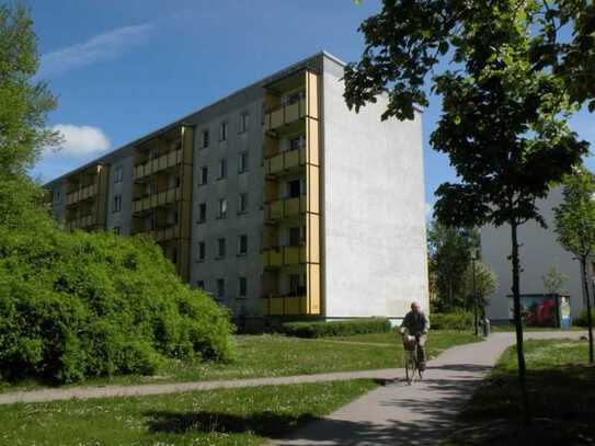 Frisch sanierte 3-Raumwohnung in Knieper West – Balkon mit Grünblick!