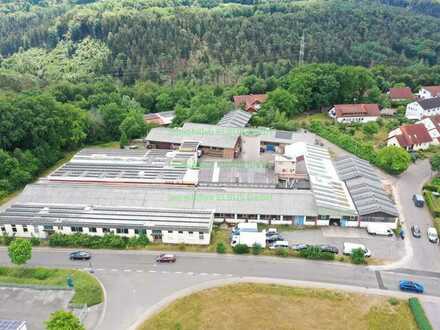 Halle/Werkstatt/Produktion in 67715 Geiselberg zu Vermieten! Lagermietfläche: ca. 500m²