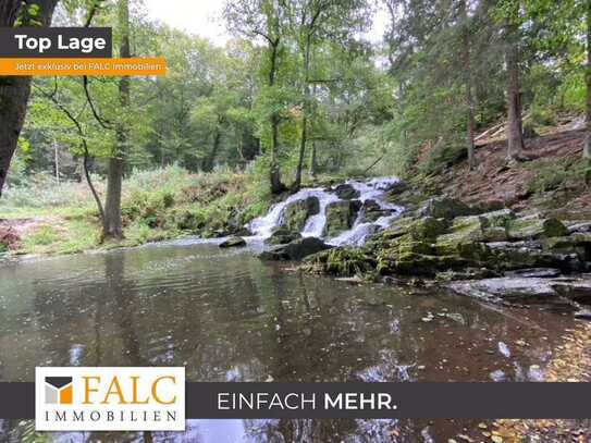 Waldgrundstück im Nationalpark Harz: Natur-Wald im Selketal gegenüber Wasserfall 29.485 m²