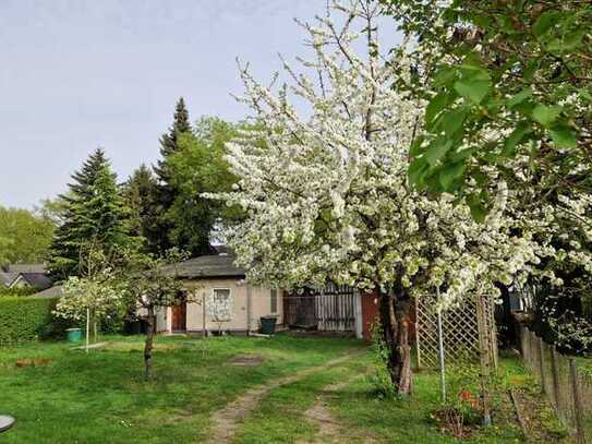 Wohnbaugrundstück mit saniertem Bungalow mit Keller und Garten im Herzen von Hohen Neuendorf!