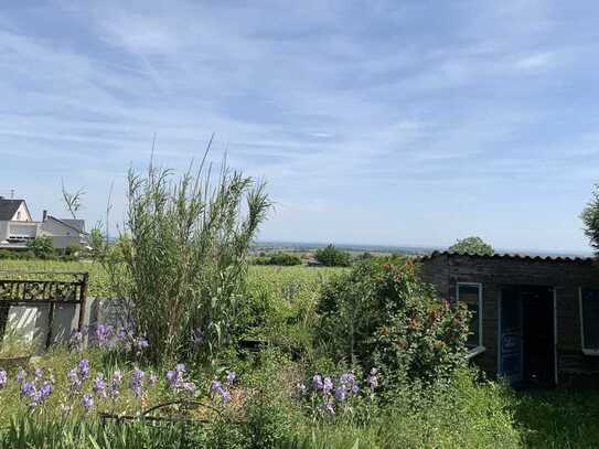 Einfamilienhaus mit Weitblick in der Südpfalz in Burrweiler