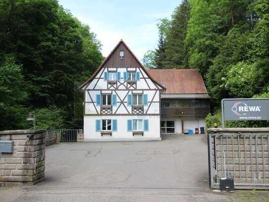 Historische Mühle - Alleinlage - in Blumberg: Renovierte Gewerbeimmobilie mit Charme und Potenzial z