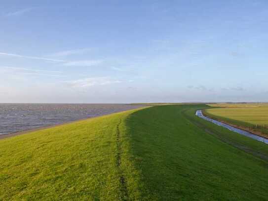 Refugium unter Reet auf nordfriesicher Insel