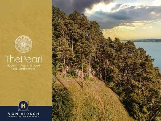 The Pearl – Hügel mit Aussichtspunkt und Forstbestand