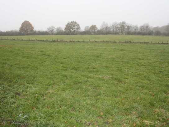 Resthof in Alleinlage mit zwei Wohnungen auf ca. 4,3 ha Grundstück.