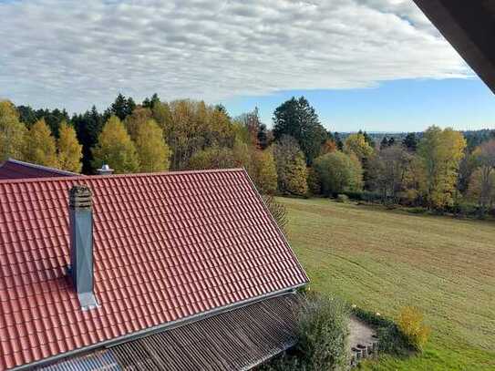 Besondere 2-Zimmer-Wohnung mit herrlichem Blick