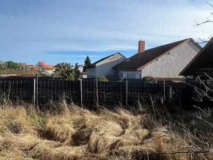 Bauen am Weinberg! Mit Burgblick