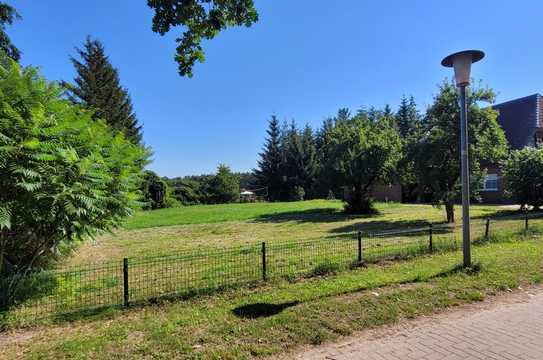 Müritz -- Baugrundstück in Boek am Nationalpark Einfamilien- oder Doppelhaus