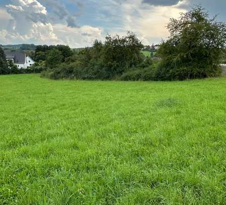 Schönes Grundstück in Walburg zu verkaufen