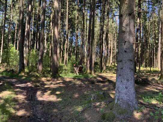 Waldfläche mit sehr guter Zufahrt