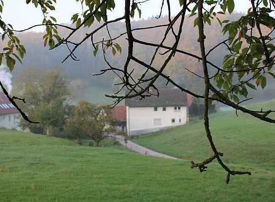 Große 3,5 Zimmer Wohnung mit herrlichem Ausblick auf den Wald