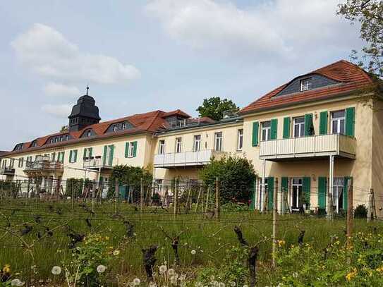 Radebeul am Weinberg - wunderschöne 2-Zi-Eigentumswhg. m. Einbauküche, großer Terrasse, Carport