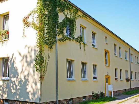 Am Scharmützelsee *Ihre Traumwohnung jetzt besichtigen!