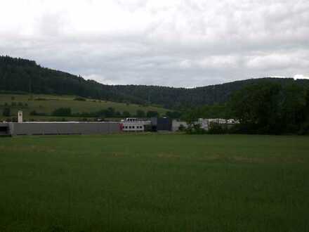 Gepflegte 3-Zimmer-Wohnung mit Balkon in Burladingen