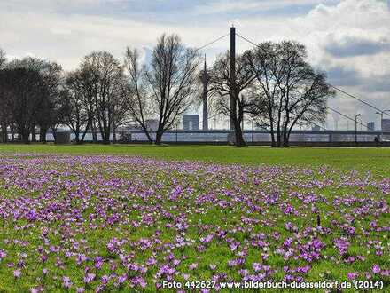 Düsseldorf-Golzheim: CECILIENALLEE! TRAUMHAUS MIT Rhein-BLICK ÜBER DEN RHEIN BIS HIN ZUR ALTSTADT.