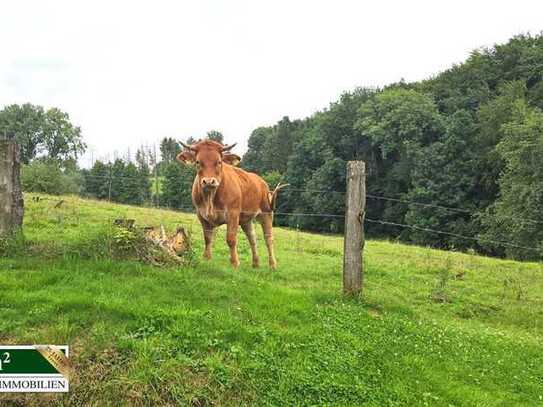 Exklusives Grundstück bei Burscheid neben Weiden und Wald mit Blick ins Grüne