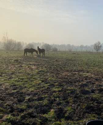 Resthof mit luxuriöser Innenausstattung und 2 EBK sowie Sauna in Nordhorn Pferdehaltung möglich