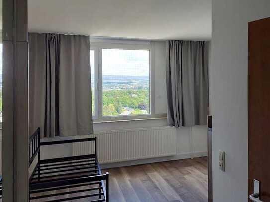 Renoviertes 1-Zimmer-Apartment über den Dächern von Mainz