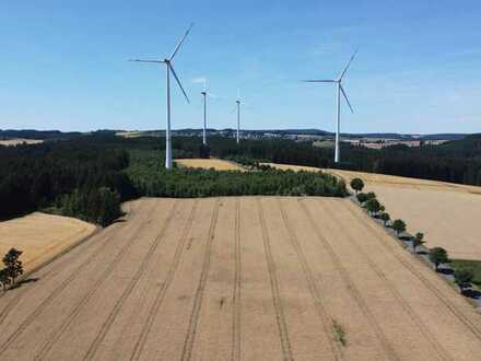 Land- und Forstwirtschaftliche Flächen