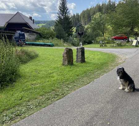 Attraktive und sanierte 4-Raum-EG-Wohnung mit Einbauküche in St.Georgen