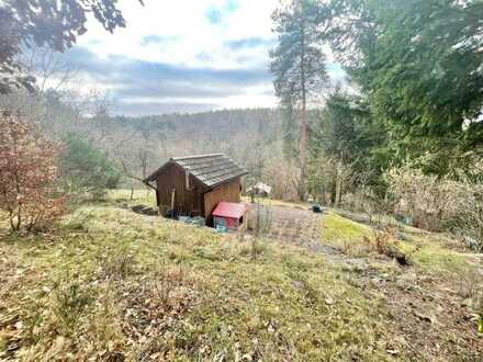 Gemütliches Gartengrundstück in Strümpfelbach!