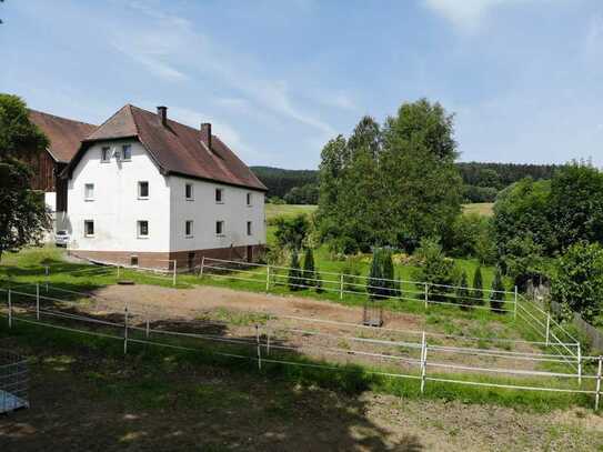 Teilsaniertes Bauernhaus mit Möglichkeit zur Pferdehaltung in Tiefenbach nähe Cham