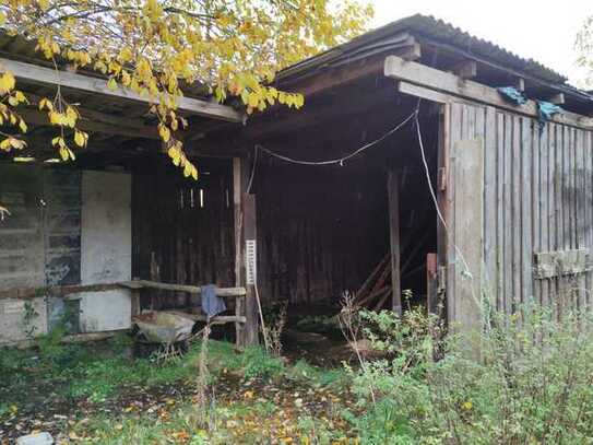 Das Glück der Erde liegt auf den Rücken der Pferde