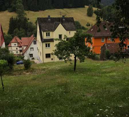 3-Zimmer-Wohnung in Schramberg am Steilhang