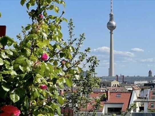 Inmitten der Rosenthaler Vorstadt, nahe dem Weinbergpark