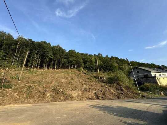 Großzügiges Baugrundstück in bester Aussichtslage, direkt am Waldrand