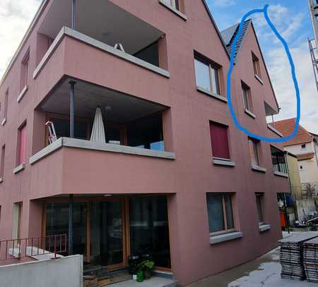 Maisonette Wohnung, ökologisch, hochwertig, hell, zentral