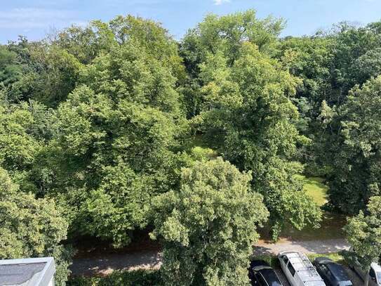 Östl. Ringgebiet - direkt am Prinzenpark - Erstbezug nach Dachneuausbau - EBK - Loggia