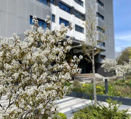 Penthouse-Büroetage mit Alpenblick in Obersendling