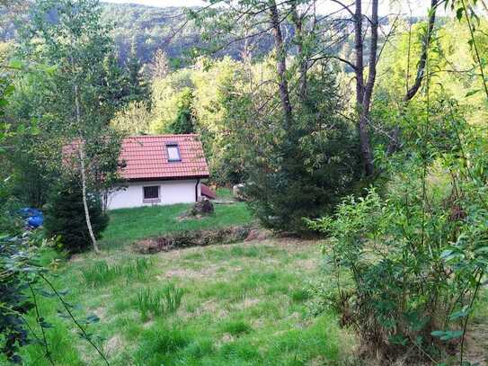 Tiny Wochenendhaus in Traumlage am Wald