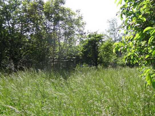 Eigenheimgrundstück mit Bauvoranfrage in Markkleeberg