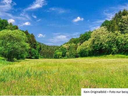 Landwirtschaftliche Flächen und Wald
in der Gemeinde Unterhaid