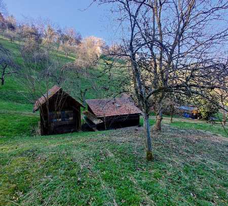 Landwirtschaftsfläche mit Gartenhütten