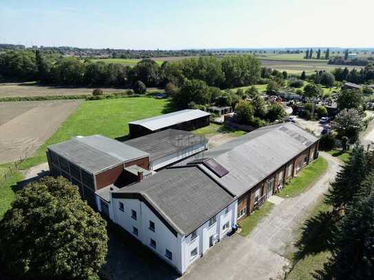 Hallenkomplex mit großer Freifläche und vielen Möglichkeiten