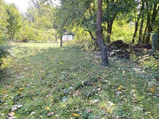 Baugrundstück an der Stadtgrenze zu Berlin