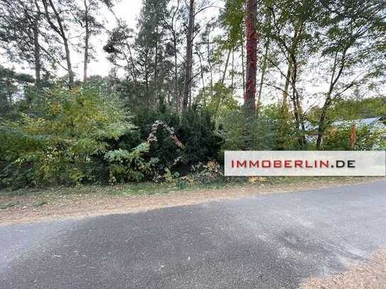 IMMOBERLIN.DE - Bebaubares Waldgrundstück in sehr naturverbundener Lage